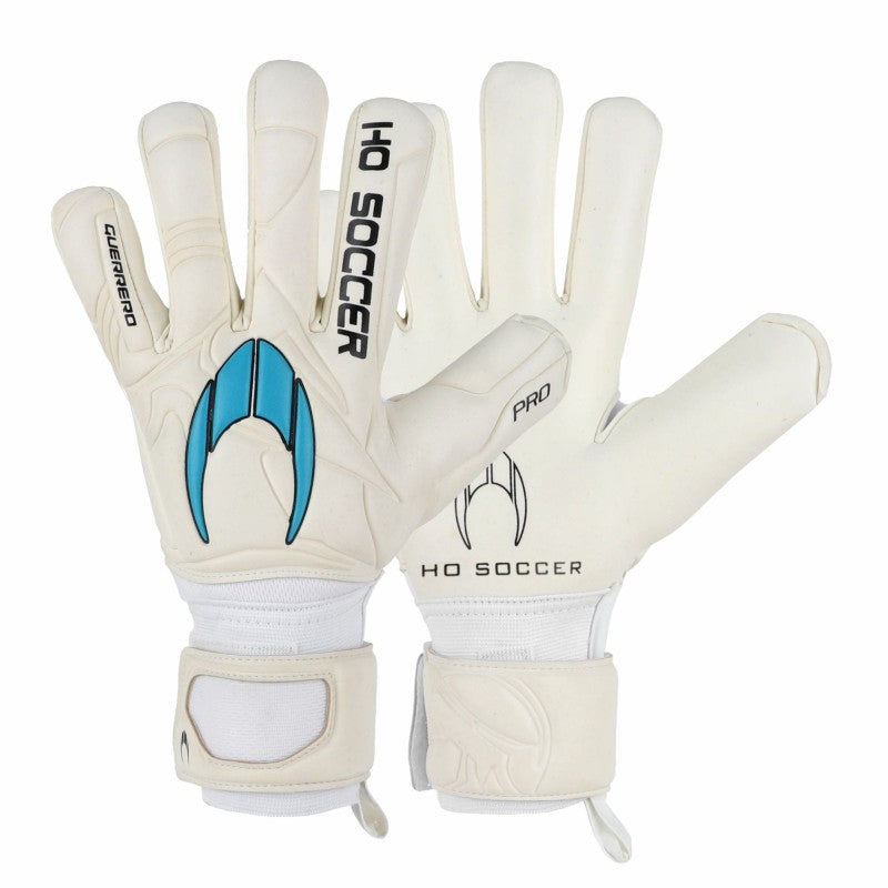 Guerrero Pro NG Blue Team